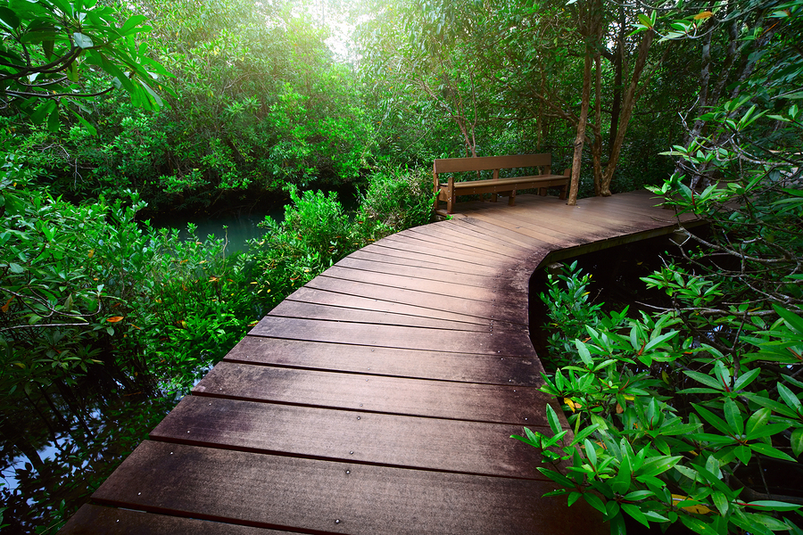 bigstock-Wood-path-over-river-and-throu-14022170